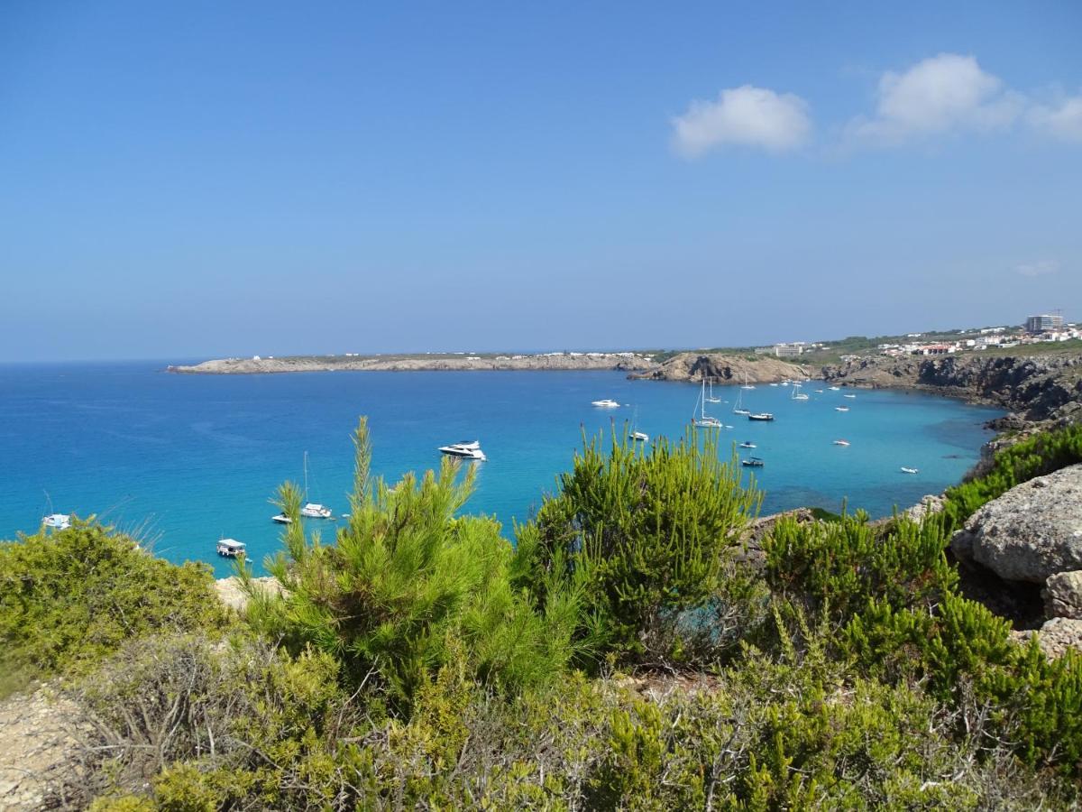 Apartamento Gecko Son Parc Dış mekan fotoğraf